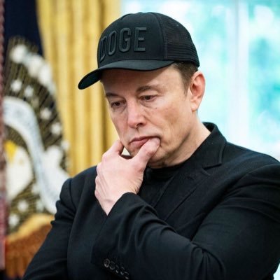 elonreevex287's profile picture. CEO_X,SpaceX 🚀 , Tesla🚘 • rounder 🛣️Co-tounder - Neutralink, OpenAl 🤖