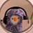 Ponyojr09's profile image