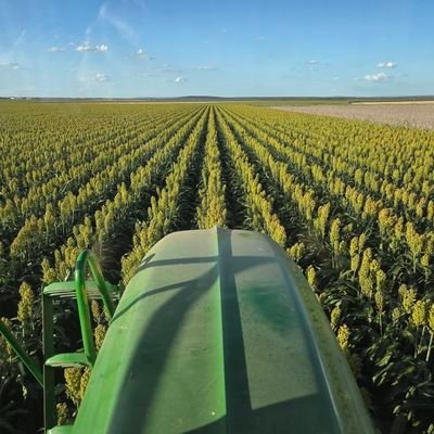 jimbob8295's profile picture. Darling Downs, CTF,min-till/recreational tillage.Sorghum, Wheat, Mungbeans, Ryder Bros Est 1864.