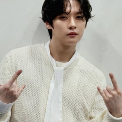 linoandkittens's profile picture. 