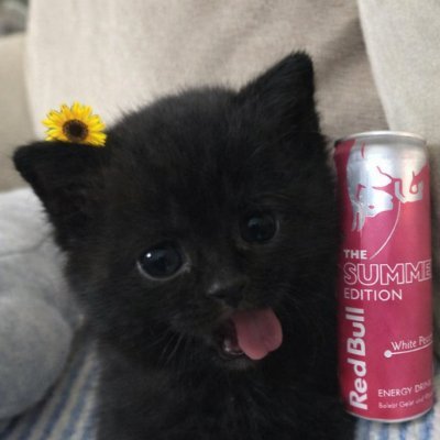 luxfv7's profile picture. ғᴏʀᴛɴɪᴛᴇ ᴘʟᴀʏᴇʀ ғᴏʀ @EGYFutureGG │ʙᴇ ʜᴀᴘᴘʏ ɪᴛ ʜᴀᴘᴘᴇɴᴇᴅ ɴᴏᴛ ꜱᴀᴅ ɪᴛ ᴇɴᴅᴇᴅ - https://t.co/gg5eMGzcUG  🤍