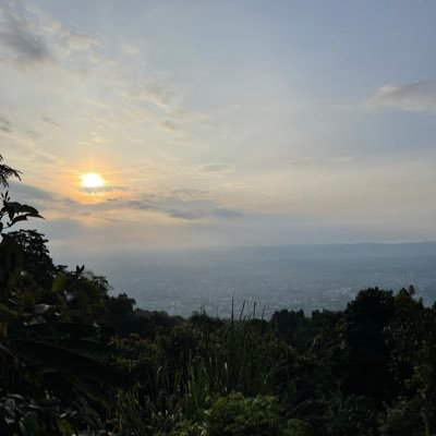 Tanapat66395862's profile picture. 