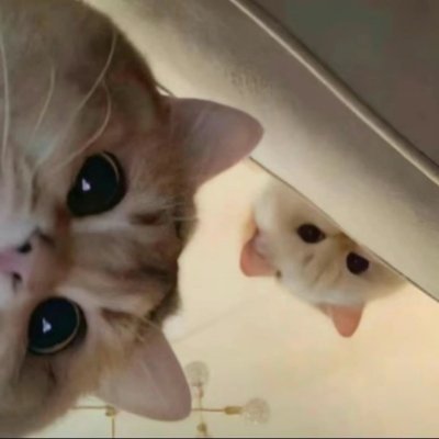 chun478729's profile picture. 