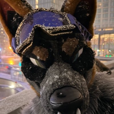 OVERKILLK9's profile picture. Rex | θ∆ | 26 | installation 04 explosion survivor 🦊🖤