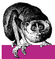 joeluqu's profile picture. 