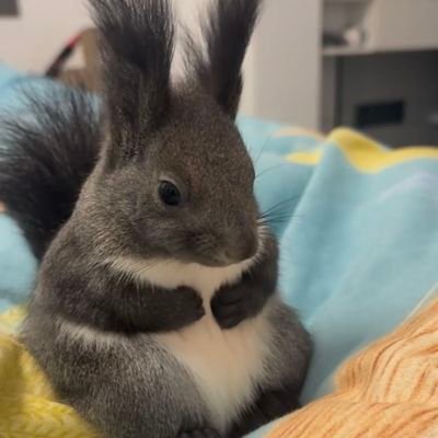 samlakig's profile picture. https://t.co/mYe9gvR7hb