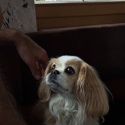 Annall9id's profile picture. Well-behaved women seldom make history.