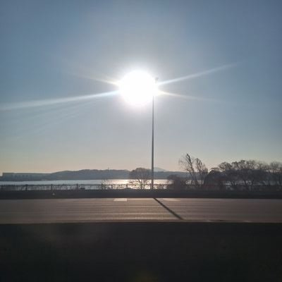 bagdohyeon44764's profile picture. 덕질 하는 건강한 사람,스텔라이브 헤비님 이샤님