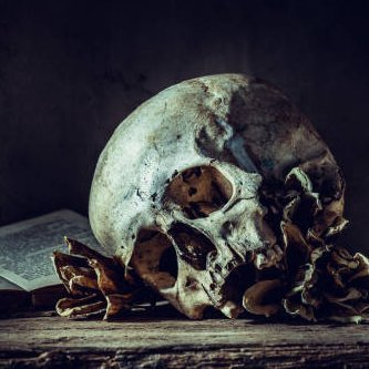 FavoriteHorror's profile picture. 💀 Horror buffs, scream queens, & slasher lovers unite!
🎬 We crave scares, plot twists, & twisted tales
https://t.co/SSABTyVdMS