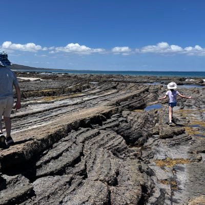 WindsorSmithWon's profile picture. An Aussie 🇦🇺 fed up with Albozo the DoDo 🦤 Lies. Net Zero is ⬆️Cost of Living and Industry Catastrophe. A man is a man. Stop woke activism in our schools.