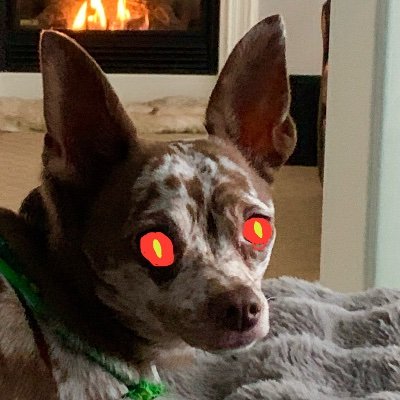 Peter Connelly 🇨🇦