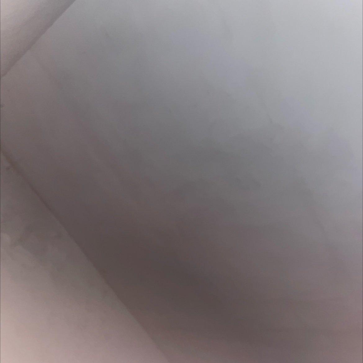 Weishenio's profile picture. 