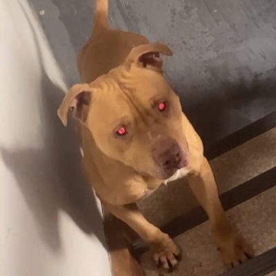 Ti_Coucoune's profile picture. 