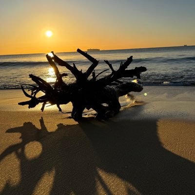 julpar75's profile picture. 