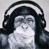 What if I'm really a tweeting monkey?