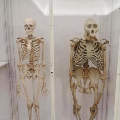 DyYang17060's profile picture. 