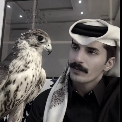 N3_iki's profile picture. 