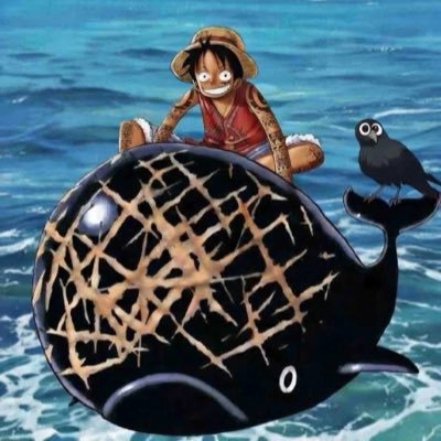 chiassinracks's profile picture. Aquaculture, Surfing, Juijitsu, Crypto :). $blackwhale army 🏴‍☠️🏴‍☠️🏴‍☠️