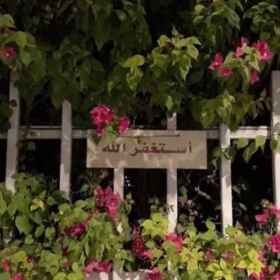 amani_0q's profile picture. لَا إِلَهَ إِلَّ الله، وَحْدَهُ لا شَرِيكَ لَهُ، لَهُ المُلْكُ وَلَهُ الحَمْدُ، وَهُوَ عَلَى كُلِ شَيْءِ قَدِيرٌ