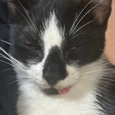 XYZ_Clannad's profile picture. 