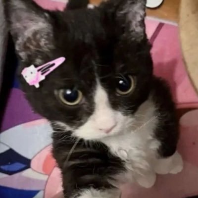 Rei_Sakuma2's profile picture. when i die, can i vanish into you