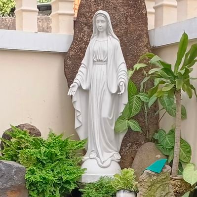 hope343606's profile picture. 