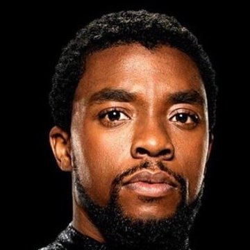 Inosendurbrick's profile picture. Add up
All about movie creation