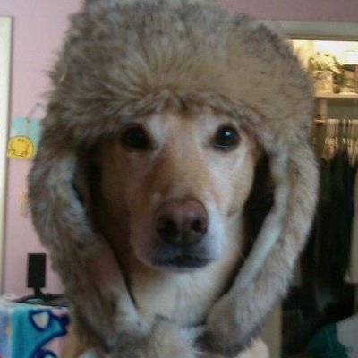 pxlisxde's profile picture. 이미사랑하는사람인데 성형하러간다하니까 잘못될까봐 뜯어말리고싶은기분임 있는그대로의그녀를사랑하게됏는데 차가운수술대에눕는다니까 그냥 사람이 아기일수도있지싶고