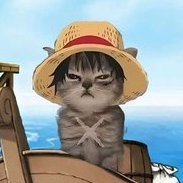 madaoftw's profile picture. 