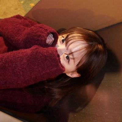 daissyflows's profile picture. ⊹ ࣪ ˖𝙶𝚘𝚘𝚍 𝚝𝚑𝚒𝚗𝚐𝚜 𝚝𝚊𝚔𝚎 𝚝𝚒𝚖𝚎⊹ ࣪ ˖݁ ˖Ი𐑼⋆