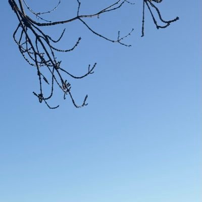 D03270424's profile picture. 