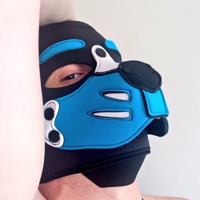 PupCobalt88's profile picture. 🏳️‍🌈 he/him/his/pup | Music lover | Guys only! | NSFW 18+