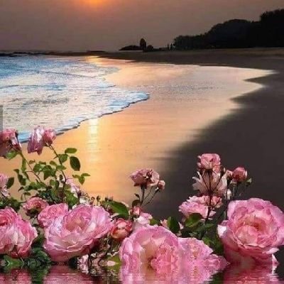 jmallrwh1233's profile picture. لا تدع يومك يُطوى دون أن تُصلّي على الحبيب!