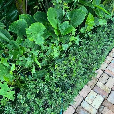 freedawave82171's profile picture. put God first❤️💪🏿