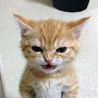 mina4ty's profile picture. pw