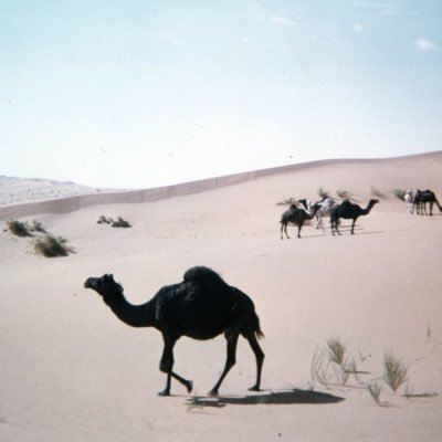 l8eji's profile picture. https://t.co/v6TrHs3Mv0