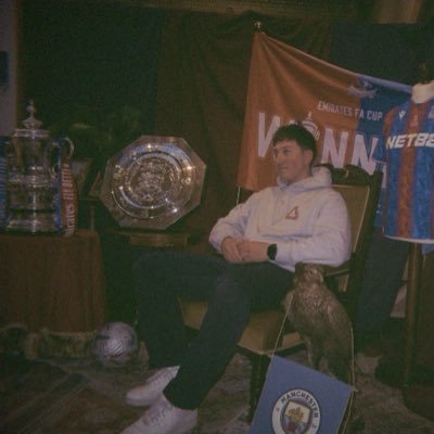 CPFCLouie's profile picture. AW season ticket holder ❤️💙