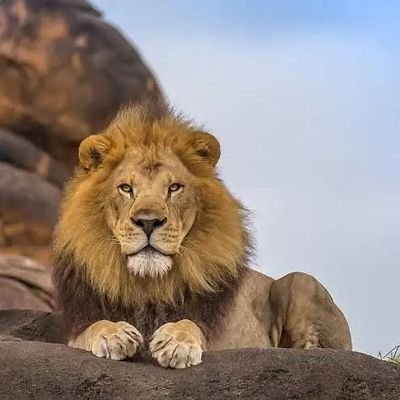 scure2005's profile picture. 