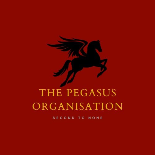 pegasuschannel7's profile picture. Military🪖 • Geopolitics🗺️ • History📜 Business Enquiries: 📩: pegasusorganisation@gmail.com