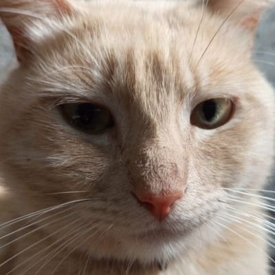 122Horanghae's profile picture. CEO of virgins