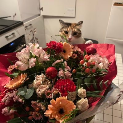 yinenevarya's profile picture. 