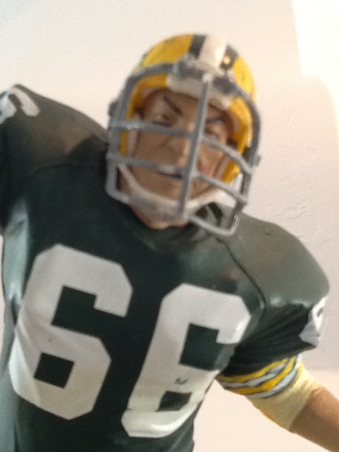 You can call me Ray Ray, Double Ray or D-Ray; as long as you don't piss me off. I love America, the Green Bay  Packers and Barbi dolls... in that order.