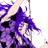 lunardarkshrine's profile image