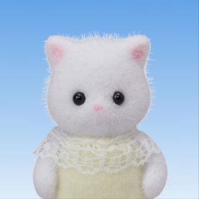 y@プロカあります