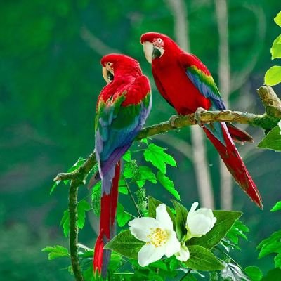 Rtsglv62024's profile picture. 