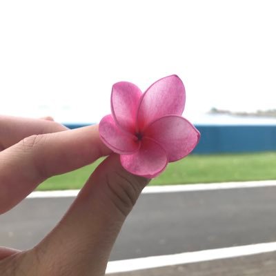 thecocobolo's profile picture. 🪲🐞🌳🦥