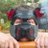 PupGarrett's profile image