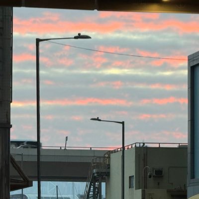 cryptoog1288's profile picture. 