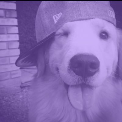 Gigiv130's profile picture. 