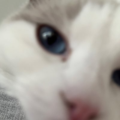 nekosukicawaii's profile picture. コスメとスキンケアと香水好き サブ垢@saburia323